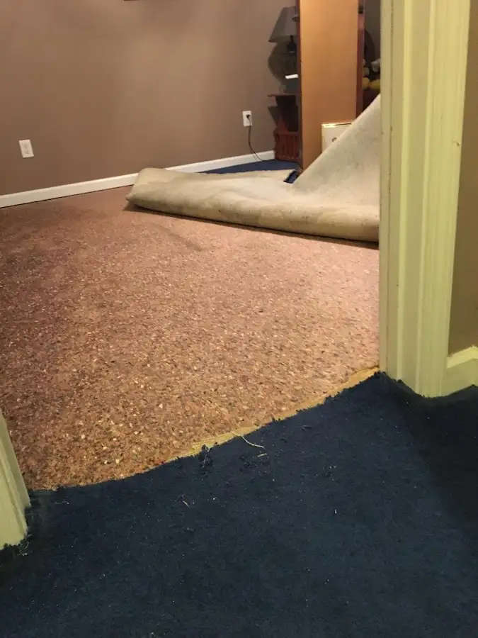 Carpet pad removal revealing water damage during Drying & Dehumidification in Pontotoc
