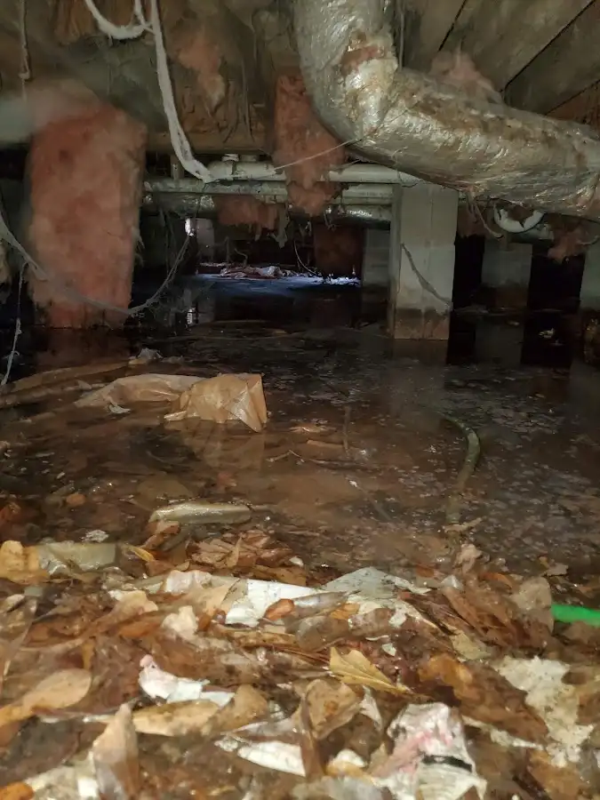 Crawl space flood assessment for Leak Detection & Repair in Pontotoc